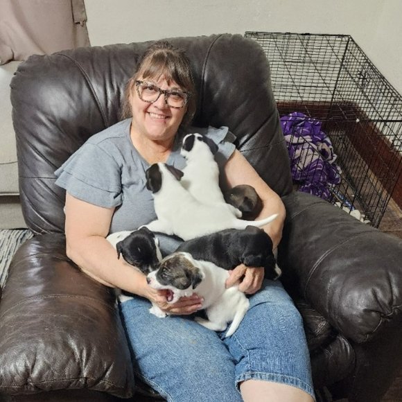 LIVE SHOW listing - Picture 5 of 6